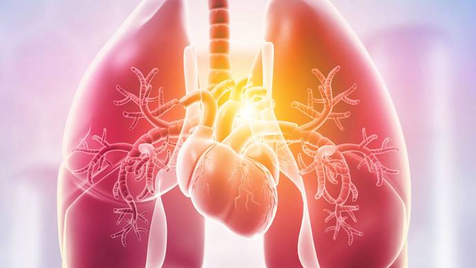 ReachMD Healthcare Image