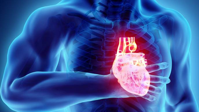 ReachMD Healthcare Image