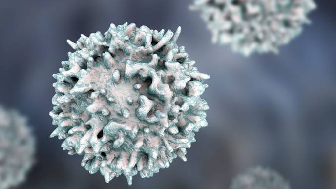 ReachMD Healthcare Image