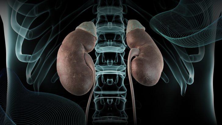 ReachMD Healthcare Image