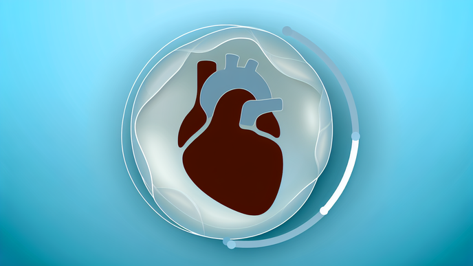 An Underestimated Risk for Heart Health