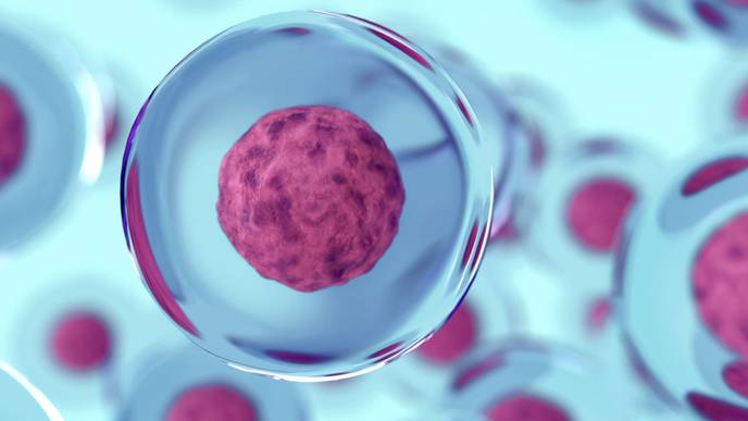 ReachMD Healthcare Image