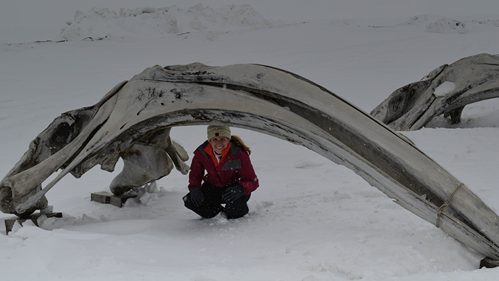 ReachMD Healthcare Image