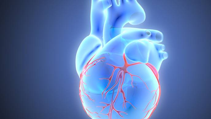 ReachMD Healthcare Image