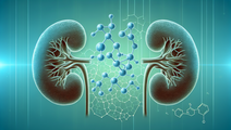 Precision Medicine in Kidney Disease Targeting Scarring and Fibrosis