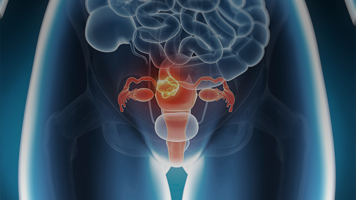 ReachMD Healthcare Image