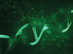 LGMD in Focus: Early Diagnosis, Precision Subtyping, and Targeted Therapies
