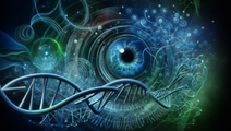gene therapy inherited retinal diseases