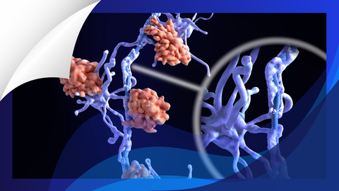 ReachMD Healthcare Image