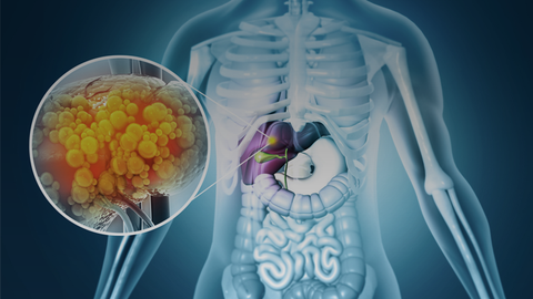 ReachMD Healthcare Image