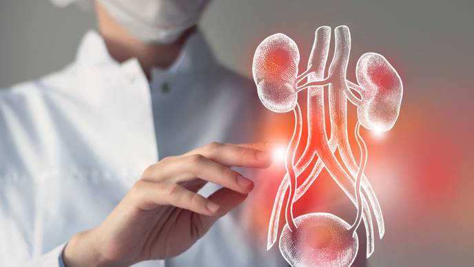 ReachMD Healthcare Image