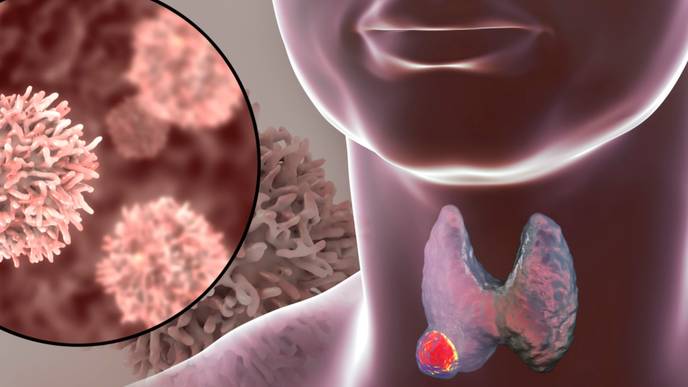 ReachMD Healthcare Image