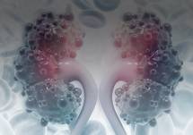 The Clinical Significance of Imaging in the Management of ADPKD