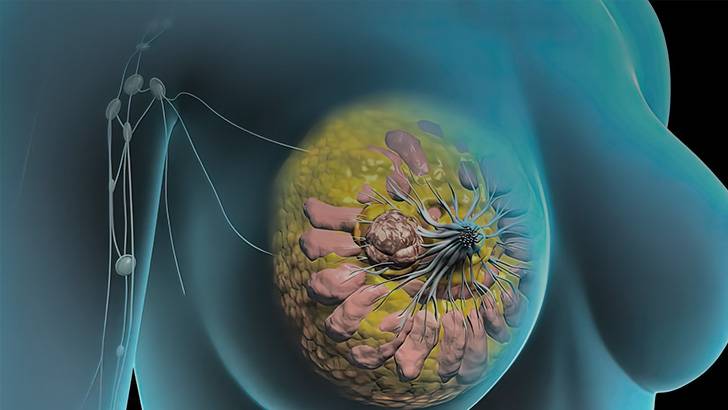 ReachMD Healthcare Image