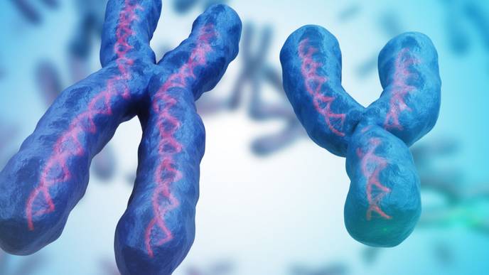 ReachMD Healthcare Image