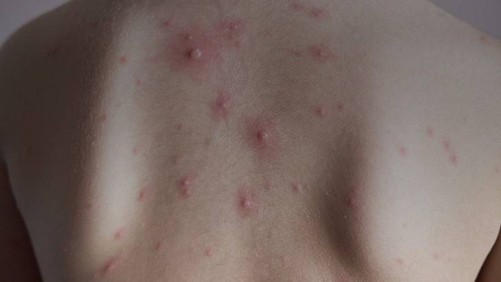 ReachMD Healthcare Image