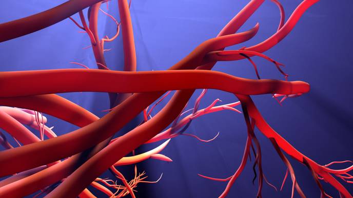 ReachMD Healthcare Image