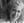 Lisa Brothers Arbisser, MD<br>Adjunct Professor, John A. Moran Eye Center, University of Utah, Salt Lake City