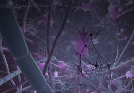 ReachMD Healthcare Image