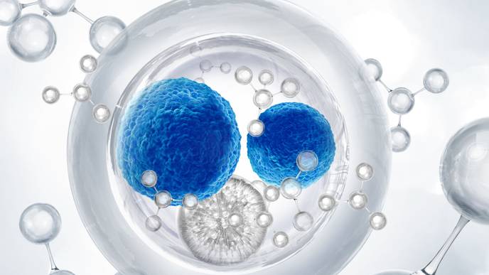 ReachMD Healthcare Image