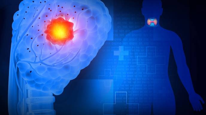 ReachMD Healthcare Image