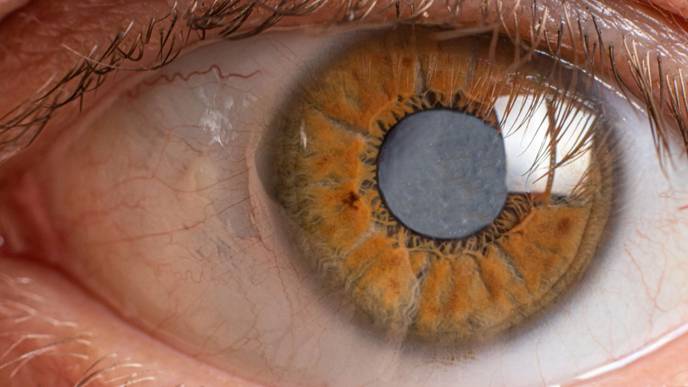 ReachMD Healthcare Image