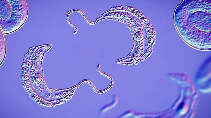 ReachMD Healthcare Image