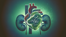 cardiovascular care navigating the shift
