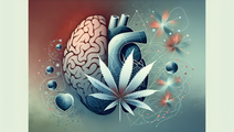 cannabis dementia cardiovascular risks