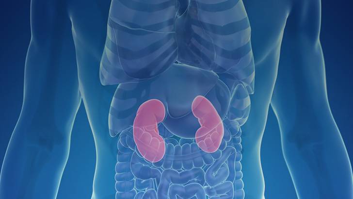 ReachMD Healthcare Image