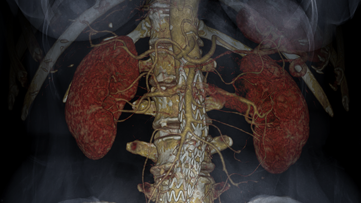 ReachMD Healthcare Image