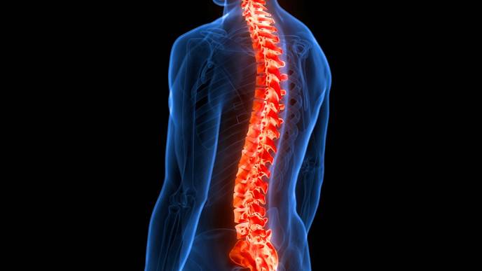 ReachMD Healthcare Image