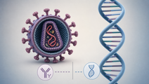 HIV DNA Testing Showed Perfect Accuracy in First Time Testers