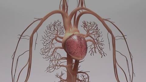 ReachMD Healthcare Image