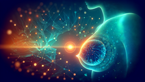 long term outcomes after intrabeam iort and astro 2024 risk stratification
