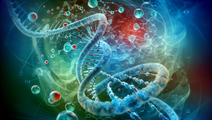Integrating Innovative Pharmacologic Strategies for Managing Obesity and Diabetes