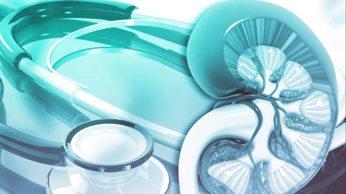 ReachMD Healthcare Image