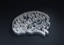 A Treatment for Schizophrenia in Adults