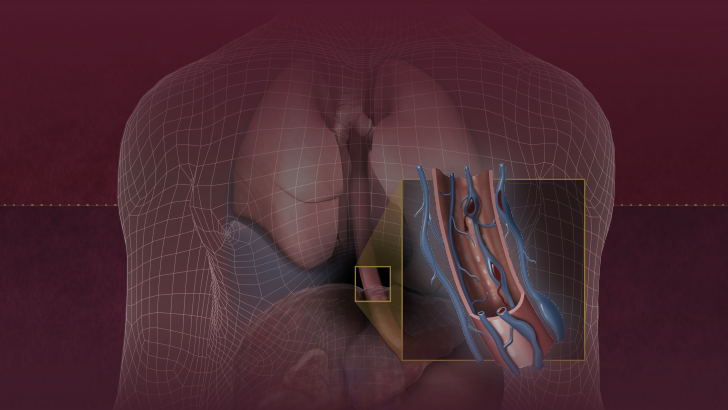 ReachMD Healthcare Image