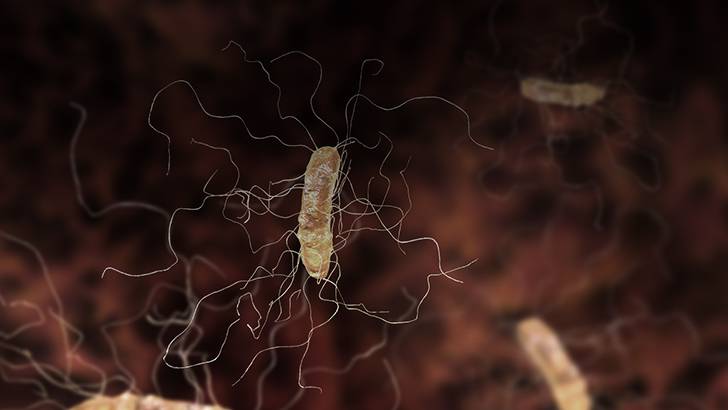 ReachMD Healthcare Image