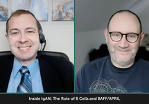 Examining Key Factors in IgAN: The Role of B Cells and BAFF/APRIL