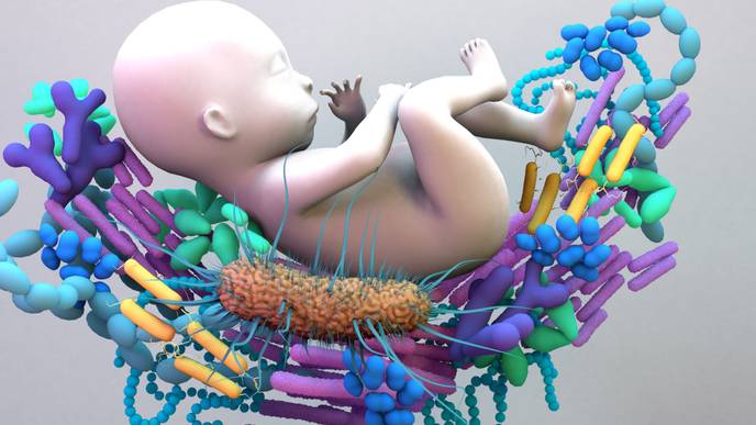 ReachMD Healthcare Image