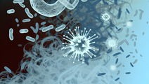 COVID19s Hidden Impact the Virus Damage to Cardiovascular Health