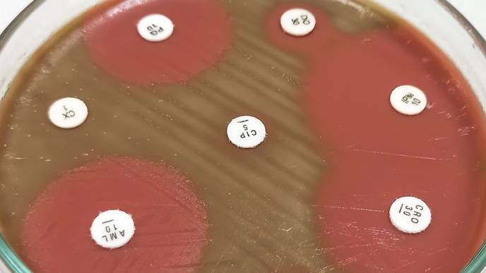 ReachMD Healthcare Image