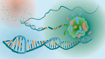 New Insights into Osteosarcoma Metastasis Through Epigenetic Profiling
