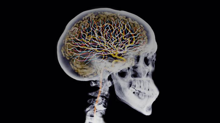 ReachMD Healthcare Image