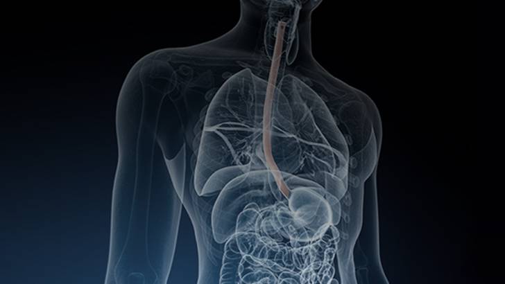 ReachMD Healthcare Image