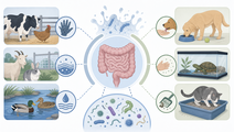 Animal Contact Enteric Outbreaks Differ by Exposure Type