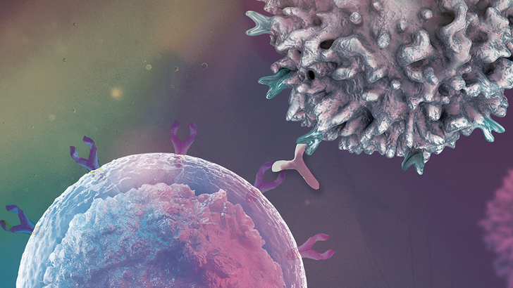 ReachMD Healthcare Image