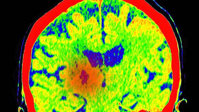 ReachMD Healthcare Image